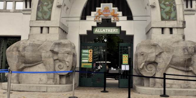 Bámulatos! Ezekkel a programokkal várják a látogatókat június 25-én a budapesti állatkertben