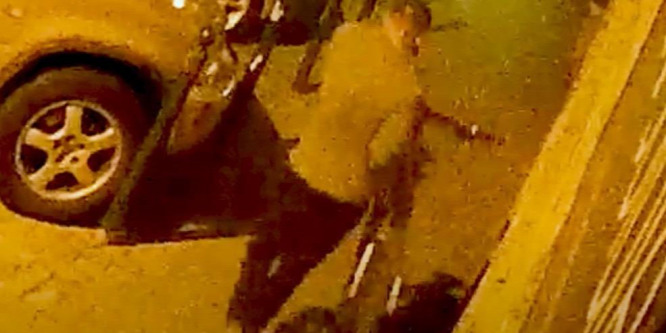 Félmilliós biciklit loptak el egy XII. kerületi társasház pincéjéből - videó
