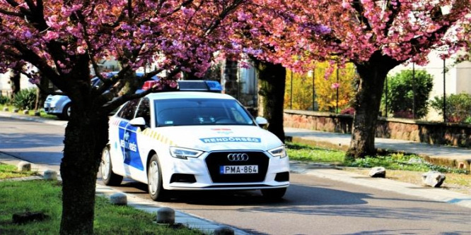 Piacon vette a rendszámát, és egy hamis munkaszerződést is felmutatott a rendőröknek