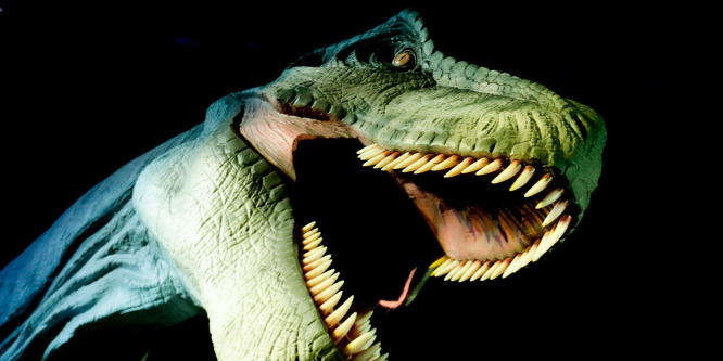 Dinoszauruszokat állítanak ki Brüsszelben
