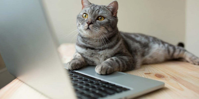 5 rossz szokás, amivel tönkreteheti a laptopját