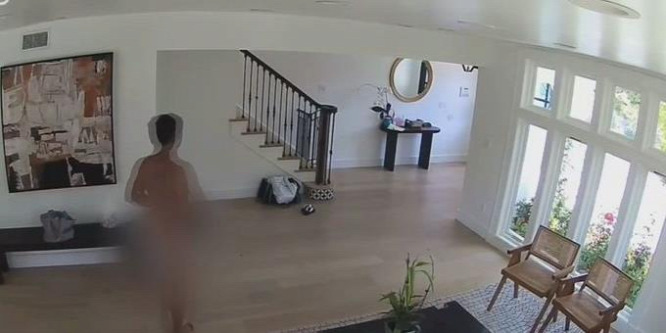 Meztelen betörő ölte meg egy család házi állatait - videó