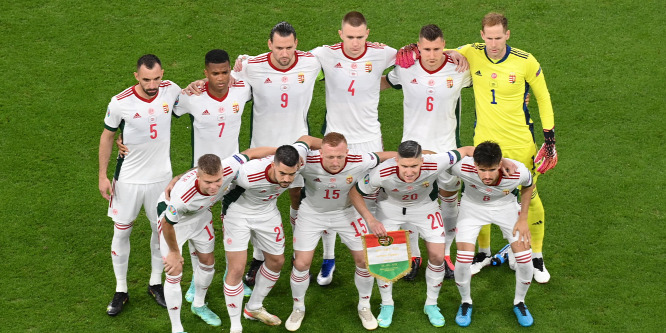 Rekordot döntött a Tippmixen a magyar válogatott