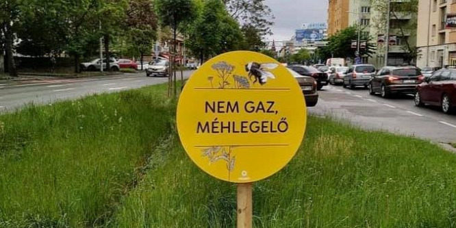 A gaz nem méhlegelő