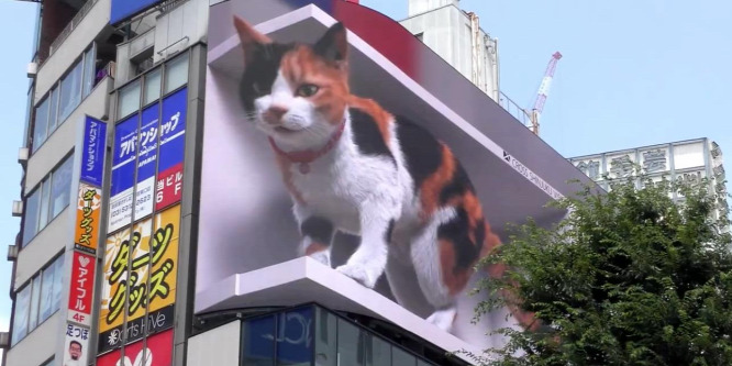 Egy gigantikus macska készült leugrani a tokiói járókelők közé – videó