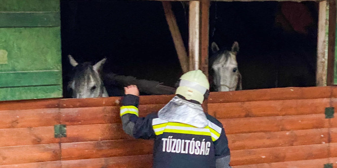 Gyújtogatók célpontja lett a Bükki Lovaspark - videó
