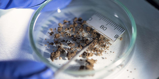 A tudósok talajtérképekkel segítik a bűnügyi nyomozók munkáját