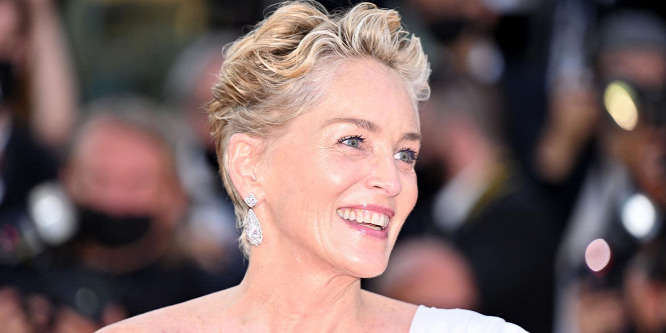 "Csináld úgy, hogy valaki fizet is érte” - Ezt üzente Sharon Stone a meztelenkedő Britneynek