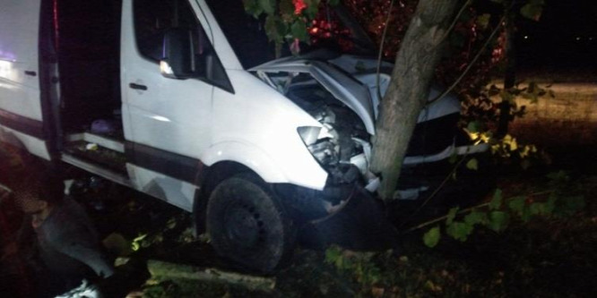 Menekülni próbált a rendőrök elől a szerb embercsempész, de nekihajtott egy fának