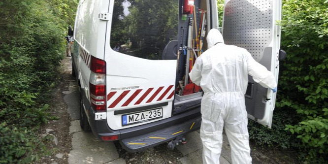 Nem tudja megmagyarázni a tettét a biatorbágyi testvérgyilkos