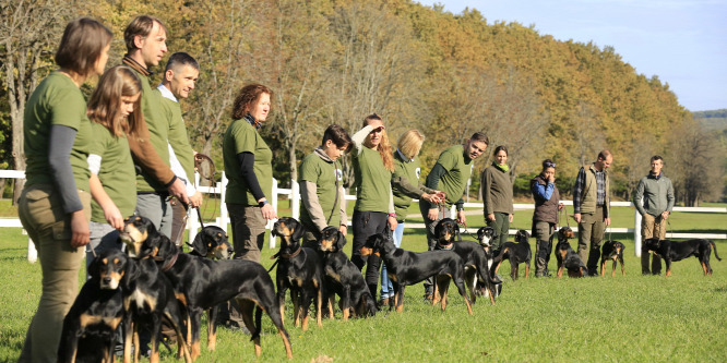 Erdélyikopó-világtalálkozót rendeznek Bőszénfán