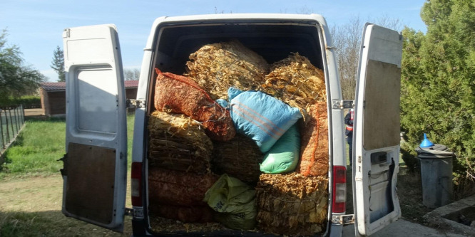 Profi módon állították elő a vágott dohányt a Nyírtelek mellett tanyán - videó
