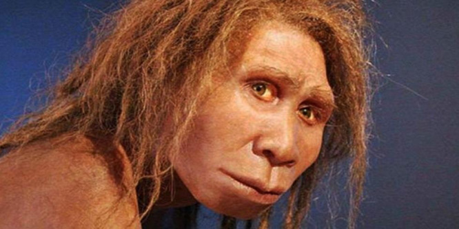 A Homo bodoensis nevet kapta a modern ember 500 ezer éve élt közvetlen elődje