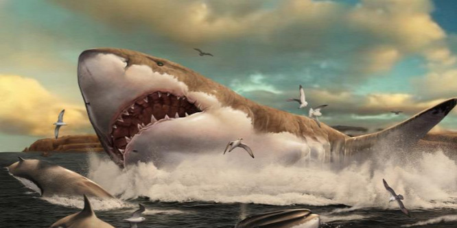 A masszív, ősi megalodon cápát a nagy fehér fajtársai győzték le