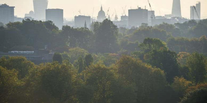 A fák a városok talajfelszíni hőmérsékletét 12 Celsius-fokkal hűtik