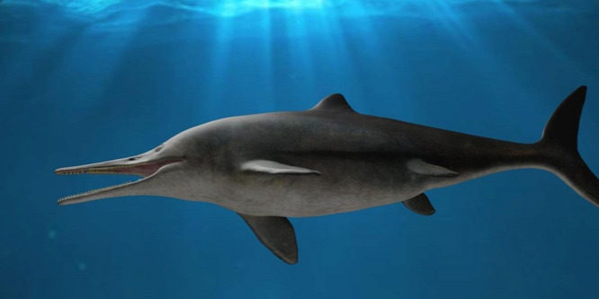 Bármilyen zsákmányt szét tudott tépni ez a delfinhez hasonló őshüllő