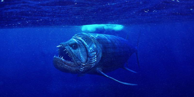 Rémisztő, gigantikus óriáshalat találtak Argentínában