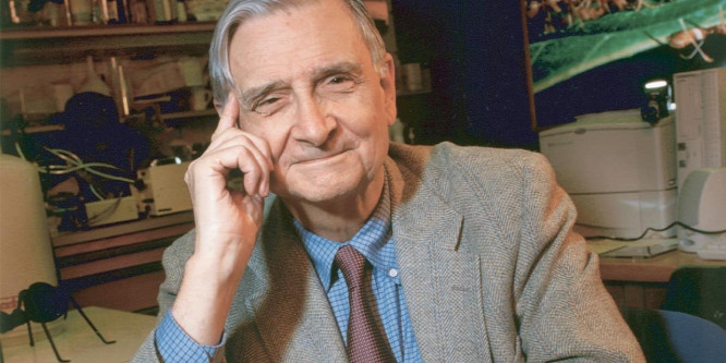 Elhunyt Edward O. Wilson evolúcióbiológus, a „hangyaember”