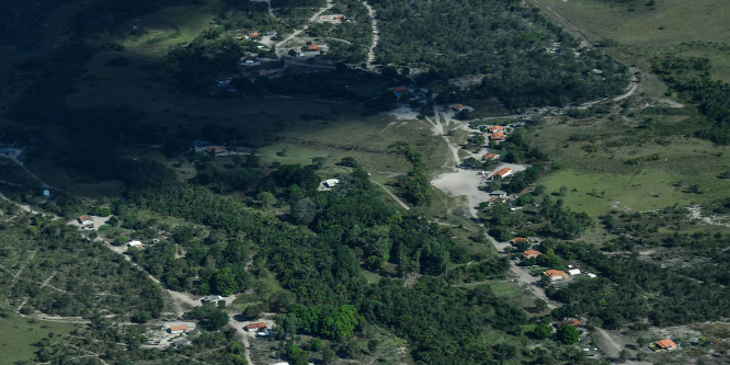 Aggasztó mérték az erdirtás a brazil szavannán