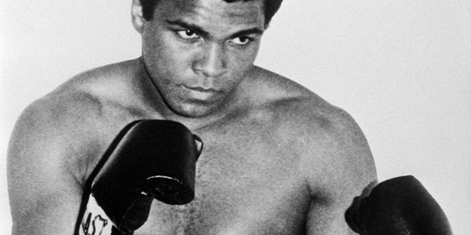 Ígéretes tehetség Muhammad Ali unokája, aki 21 évesen negyedik profi meccsét is megnyerte