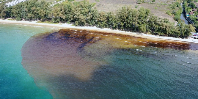 Több száz rejtélyes, gyilkos mezőt találtak a tengereken, strandolók is veszélybe kerülhetnek