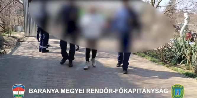 Újabb oltási igazolásokkal üzletelő orvost vettek őrizetbe - videó
