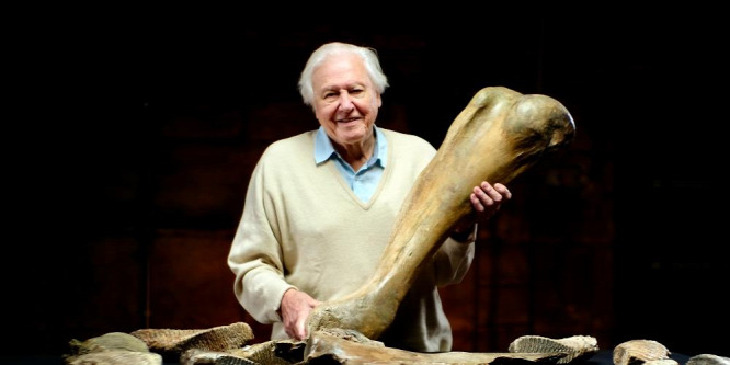 David Attenborough rangos elismerést kapott az ENSZ-tl