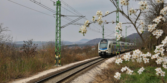 Közérdekű információ: ezt kéri a MÁV, hogy megelőzzük a halálos vonatbaleseteket