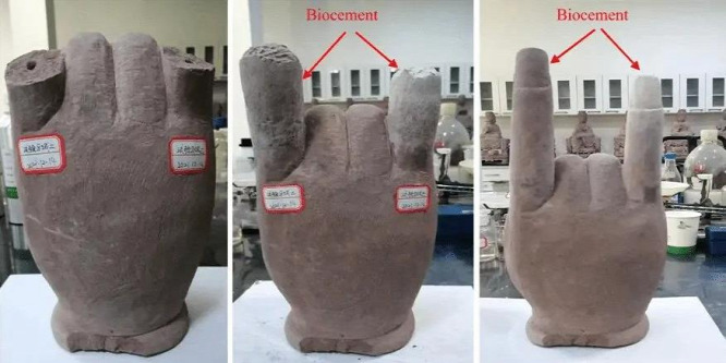 Iszapból és vizeletből készül az új fenntartható, megújuló biocement