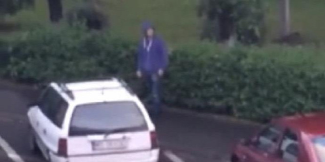 Megvárta a madár, hogy hátat fordítsanak neki, és akkor támadott - videó