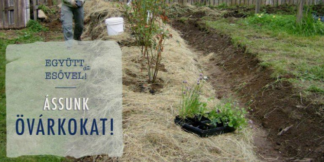 Így működjünk együtt az esővel: ássunk övárkokat!