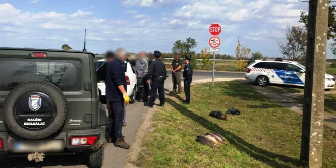 Döglött állatok kerültek elő egy autóból