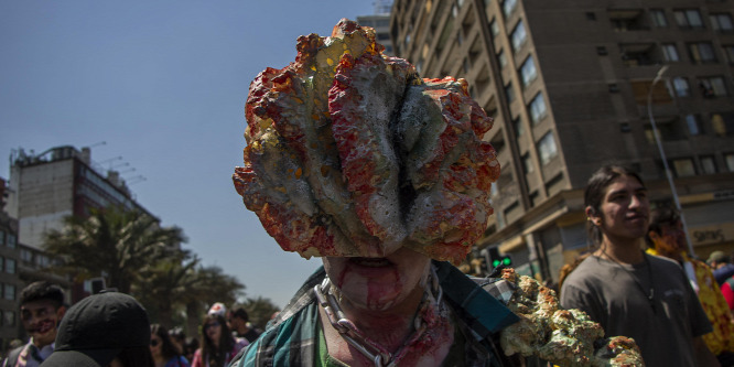Valóban léteznek élőlényeket zombikká változtató gombák