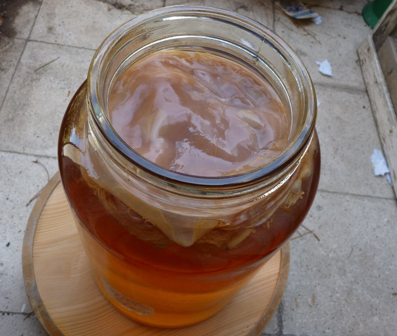 kombucha arde burta grăsime salate pentru slabit