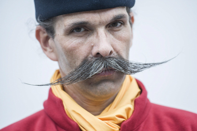 20150523kiskunfelegyhaza-2015-majus-23jaromi-zsolt.jpg