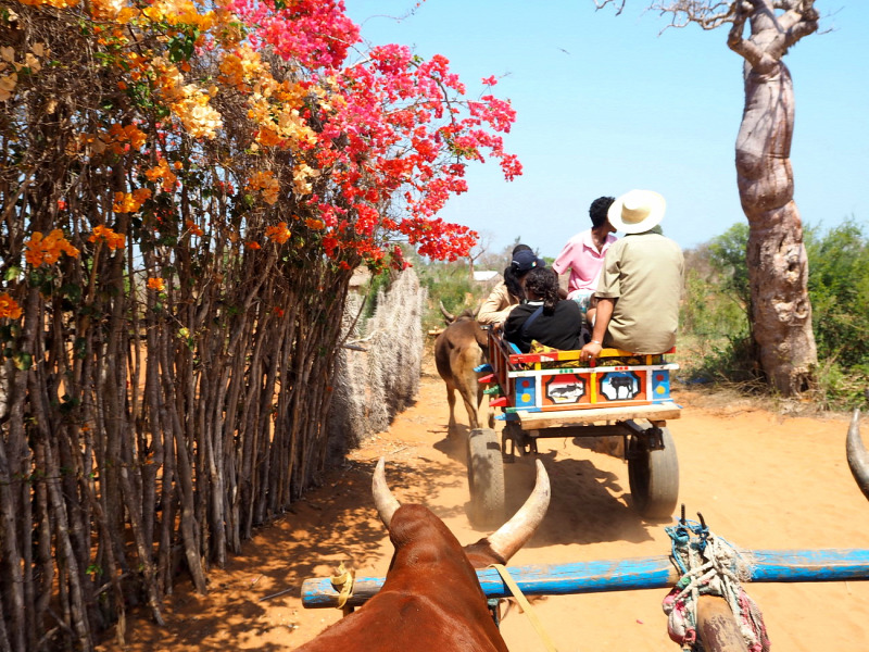 ember keres férfi madagaszkár