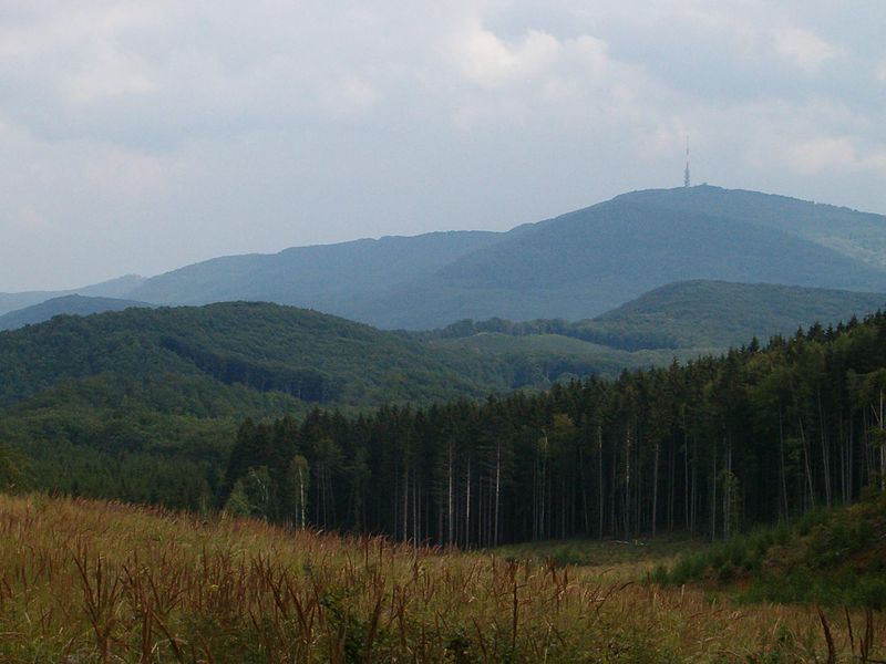 Árlista • Da Vinci Magánklinika