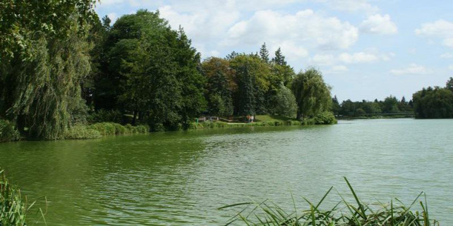 Forrás: szombathely.varosom.hu