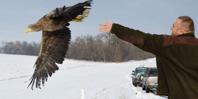 Forrás: Puskás József/Kiskunsági Nemzeti Park Igazgatóság