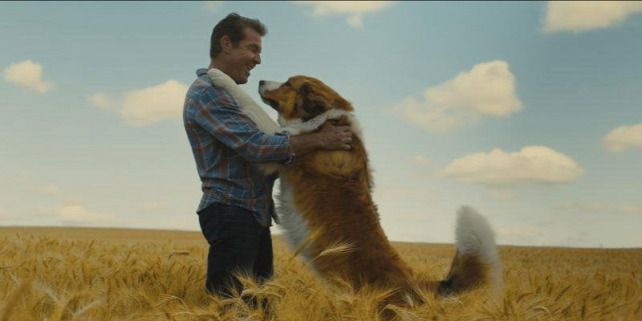 Forrás: C Universal Pictures and Amblin Entertainment. All Rights Reserved./Universal Pictures And Amblin Entertainment