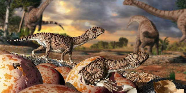 Forrás: Julius T. Csotonyi