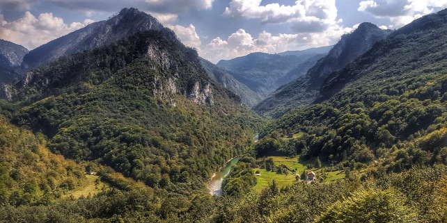 Forrás: Dancsok Petra