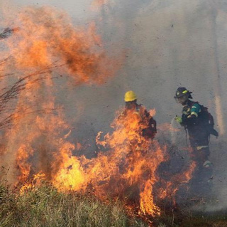 Forrás: AFP/Ho