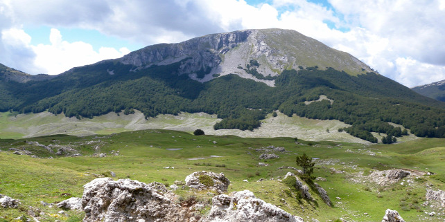 Forrás: Wikimedia Commons