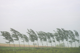 Forrás: MTI/Balázs Attila 