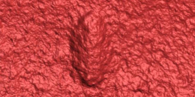 Forrás: https://news.ucr.edu/articles/2020/03/23/ancestor-all-animals-identified-australian-fossils