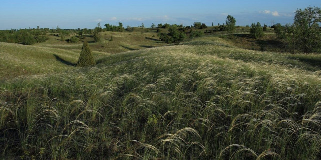 Forrás: Kiskunsági Nemzeti Park