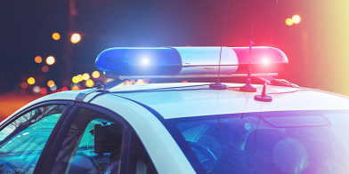 Forr�s: Shutterstock 