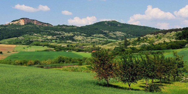 Forrás: Pénzes Géza