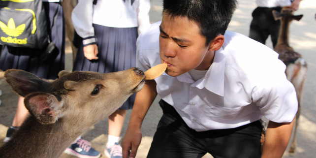 Forrás: Imaginechina via AFP/Chen jialiang - Imaginechina/Chen Jialiang